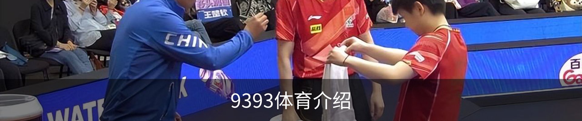 9393体育介绍